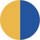 Yellow + Blue