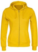 Aaron Paul Breaking Bad Hoodie